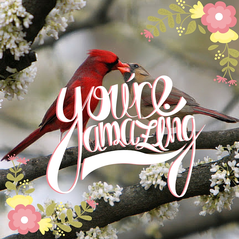 Walentynki, czyli powiedz komplement po niemiecku!