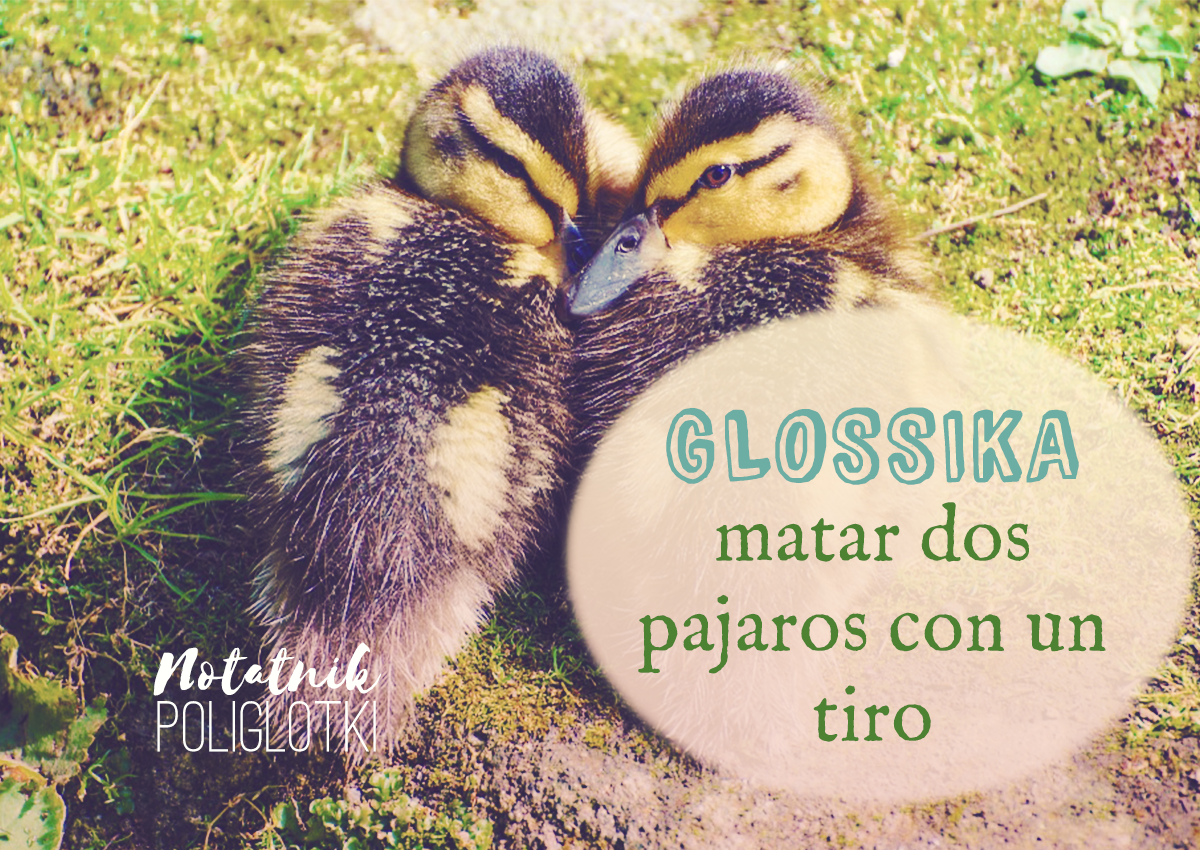 [#H8] Glossika – pierwsze wrażenia, czyli dwa ptaki za jednym rzutem.