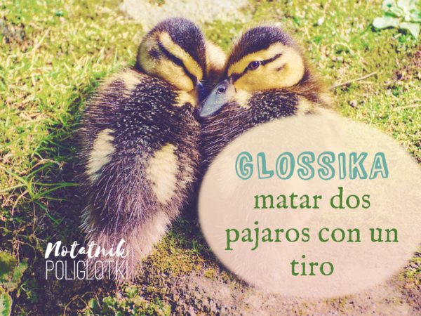 [#H8] Glossika – pierwsze wrażenia, czyli dwa ptaki za jednym rzutem.