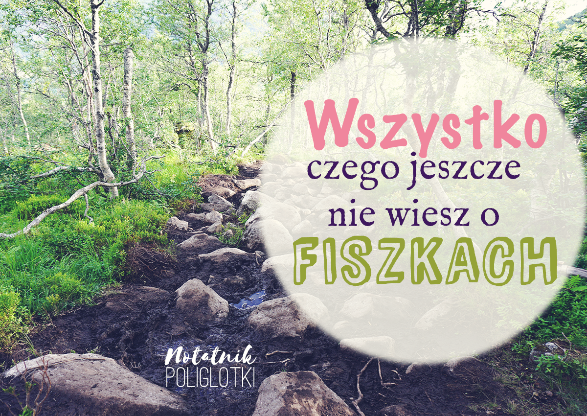 [3] Powtórki analogowo – czyli tego jeszcze w Internetach o fiszkach nie pisali!