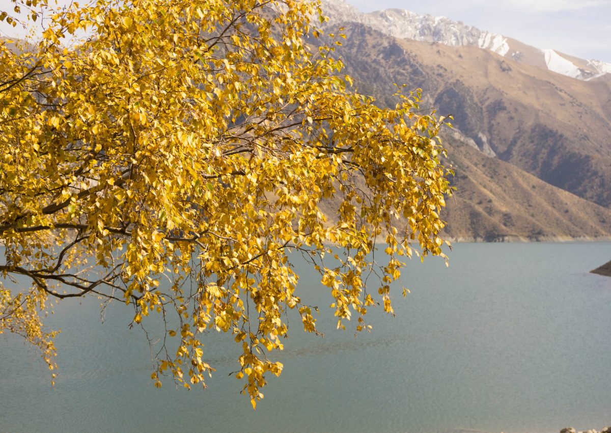 Wyzwanie 3×3 : miesiąc pierwszy – listopad z rosyjskim